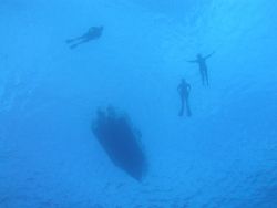 Everyone gathering around to watch the freediver touch do... by Quentin Long 